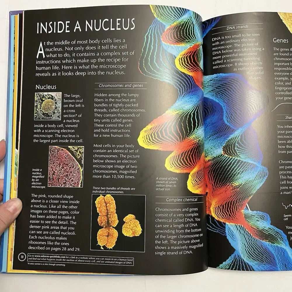The Usborne Complete Book of the Microscope Internet Linked Paperback Science